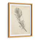 Bosquejo De Plumas I - Ethan Harper | Cuadro decorativo de Canvas Lab
