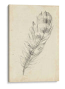 Bosquejo De Plumas Ii - Ethan Harper | Cuadro decorativo de Canvas Lab
