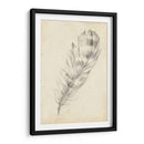 Bosquejo De Plumas Ii - Ethan Harper | Cuadro decorativo de Canvas Lab