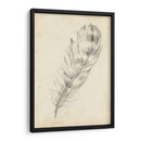 Bosquejo De Plumas Ii - Ethan Harper | Cuadro decorativo de Canvas Lab