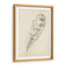 Bosquejo De Plumas Ii - Ethan Harper | Cuadro decorativo de Canvas Lab