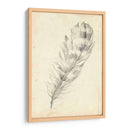 Bosquejo De Plumas Ii - Ethan Harper | Cuadro decorativo de Canvas Lab