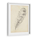 Bosquejo De Plumas Ii - Ethan Harper | Cuadro decorativo de Canvas Lab