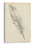 Bosquejo De Plumas Iii - Ethan Harper | Cuadro decorativo de Canvas Lab