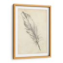 Bosquejo De Plumas Iii - Ethan Harper | Cuadro decorativo de Canvas Lab