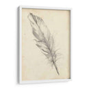 Bosquejo De Plumas Iii - Ethan Harper | Cuadro decorativo de Canvas Lab