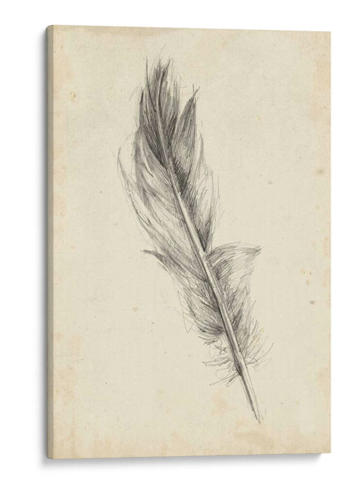 Bosquejo De Plumas Iv - Ethan Harper | Cuadro decorativo de Canvas Lab
