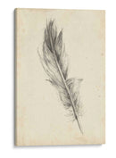 Bosquejo De Plumas Iv - Ethan Harper | Cuadro decorativo de Canvas Lab