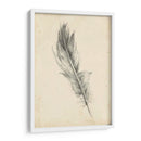 Bosquejo De Plumas Iv - Ethan Harper | Cuadro decorativo de Canvas Lab