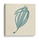 Algas Cromáticas Ii - Vision Studio | Cuadro decorativo de Canvas Lab