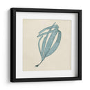 Algas Cromáticas Ii - Vision Studio | Cuadro decorativo de Canvas Lab