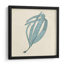 Algas Cromáticas Ii - Vision Studio | Cuadro decorativo de Canvas Lab