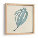 Algas Cromáticas Ii - Vision Studio | Cuadro decorativo de Canvas Lab