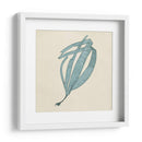 Algas Cromáticas Ii - Vision Studio | Cuadro decorativo de Canvas Lab