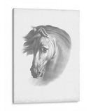 Blueprint Ecuestre I - Vision Studio | Cuadro decorativo de Canvas Lab