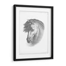 Blueprint Ecuestre I - Vision Studio | Cuadro decorativo de Canvas Lab