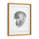 Blueprint Ecuestre I - Vision Studio | Cuadro decorativo de Canvas Lab