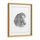 Blueprint Ecuestre Ii - Vision Studio | Cuadro decorativo de Canvas Lab