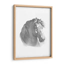 Blueprint Ecuestre Ii - Vision Studio | Cuadro decorativo de Canvas Lab