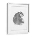 Blueprint Ecuestre Ii - Vision Studio | Cuadro decorativo de Canvas Lab