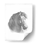 Blueprint Ecuestre Ii - Vision Studio | Cuadro decorativo de Canvas Lab