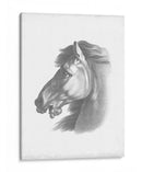 Blueprint Ecuestre Iii - Vision Studio | Cuadro decorativo de Canvas Lab