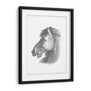 Blueprint Ecuestre Iii - Vision Studio | Cuadro decorativo de Canvas Lab