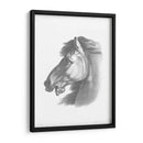 Blueprint Ecuestre Iii - Vision Studio | Cuadro decorativo de Canvas Lab