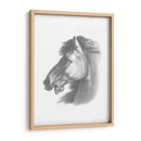 Blueprint Ecuestre Iii - Vision Studio | Cuadro decorativo de Canvas Lab