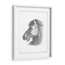 Blueprint Ecuestre Iii - Vision Studio | Cuadro decorativo de Canvas Lab