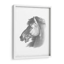 Blueprint Ecuestre Iii - Vision Studio | Cuadro decorativo de Canvas Lab