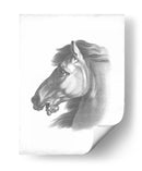 Blueprint Ecuestre Iii - Vision Studio | Cuadro decorativo de Canvas Lab