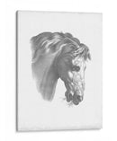 Blueprint Ecuestre Iv - Vision Studio | Cuadro decorativo de Canvas Lab