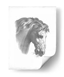 Blueprint Ecuestre Iv - Vision Studio | Cuadro decorativo de Canvas Lab