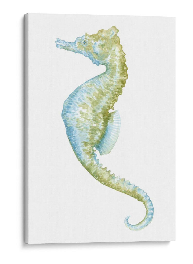 Acuarela Marhorse Ii - Megan Meagher | Cuadro decorativo de Canvas Lab