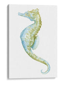 Acuarela Marhorse Ii - Megan Meagher | Cuadro decorativo de Canvas Lab