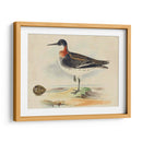 Meyer Shorebirds Ii - H.L. Meyer | Cuadro decorativo de Canvas Lab