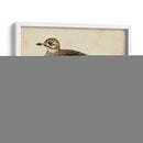 Meyer Shorebirds Iv - H.L. Meyer | Cuadro decorativo de Canvas Lab