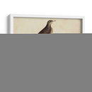 Meyer Shorebirds Vi - H.L. Meyer | Cuadro decorativo de Canvas Lab