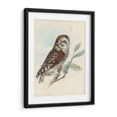 Meyer Little Owl - H.L. Meyer | Cuadro decorativo de Canvas Lab