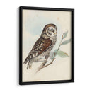 Meyer Little Owl - H.L. Meyer | Cuadro decorativo de Canvas Lab