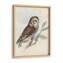 Meyer Little Owl - H.L. Meyer | Cuadro decorativo de Canvas Lab