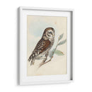 Meyer Little Owl - H.L. Meyer | Cuadro decorativo de Canvas Lab