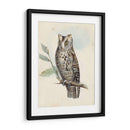 Meyer Scops-Oreed Owl - H.L. Meyer | Cuadro decorativo de Canvas Lab