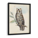 Meyer Scops-Oreed Owl - H.L. Meyer | Cuadro decorativo de Canvas Lab