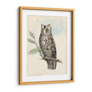 Meyer Scops-Oreed Owl - H.L. Meyer | Cuadro decorativo de Canvas Lab