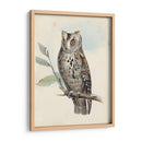 Meyer Scops-Oreed Owl - H.L. Meyer | Cuadro decorativo de Canvas Lab