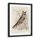 Búho De Orejas Largas Meyer - H.L. Meyer | Cuadro decorativo de Canvas Lab