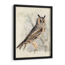 Búho De Orejas Largas Meyer - H.L. Meyer | Cuadro decorativo de Canvas Lab