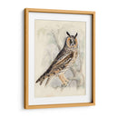 Búho De Orejas Largas Meyer - H.L. Meyer | Cuadro decorativo de Canvas Lab
